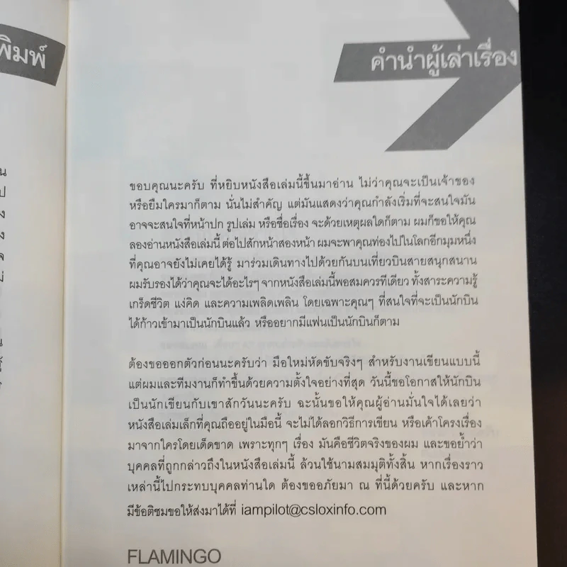 I'm a Pilot ผมคือนักบิน - Flamingo รูปที่ 10