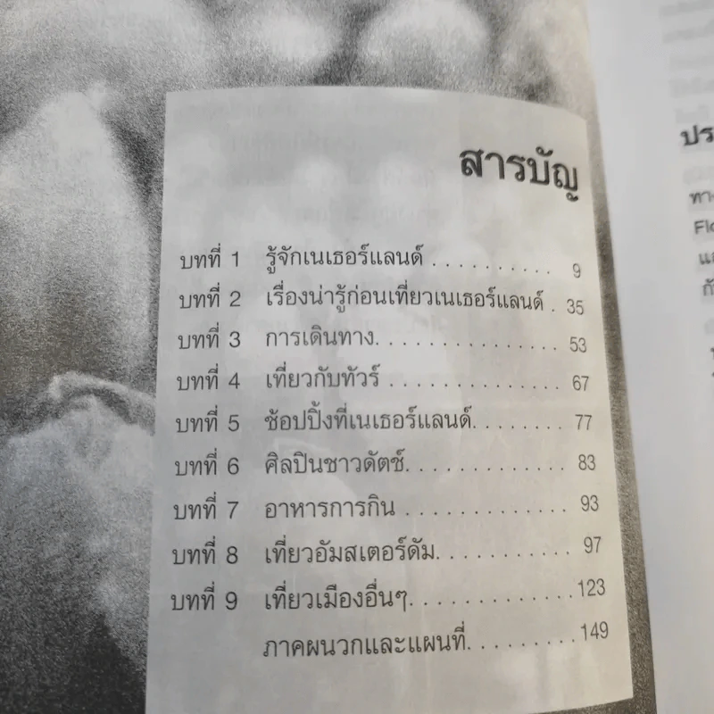 คู่มือนักเดินทาง เนเธอร์แลนด์ รูปที่ 13
