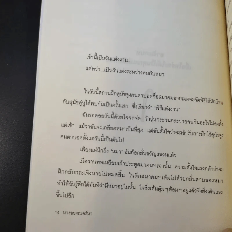หางของเบอร์นา - กุนจิ นานาเอะ รูปที่ 14