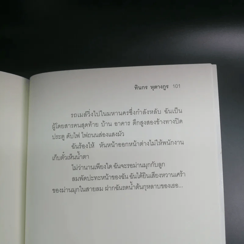 นกเพลง - ทินกร หุตางกูร รูปที่ 13