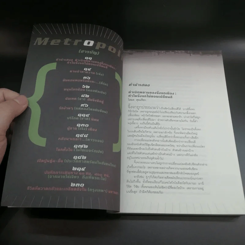 Metropolis เมืองใหญ่ในวงเล็บ - วุฒิชัย กฤษณะประกรกิจ รูปที่ 11
