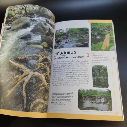 Sweet สวนผึ้ง ราชบุรี รูปที่ 17