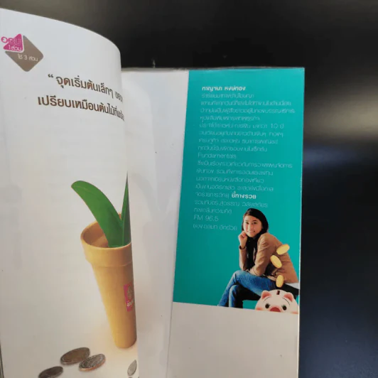 จัดระเบียบการเงินให้อยู่หมัด Money Diy - กาญจนา หงษ์ทอง รูปที่ 15