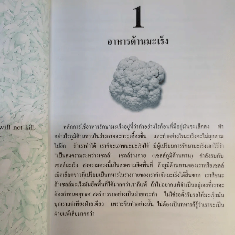 ตำราอาหารต้านมะเร็ง - พญ.ลลิตา ธีระสิริ รูปที่ 13