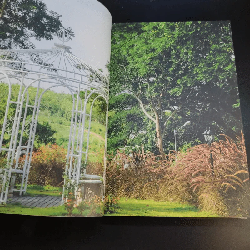 Sweet สวนผึ้ง ราชบุรี รูปที่ 15