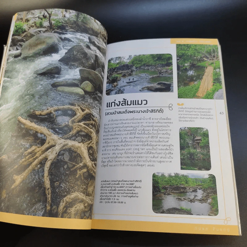 Sweet สวนผึ้ง ราชบุรี รูปที่ 17