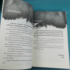 คนขุดสุสาน เล่ม 1,3,4 - Tian Xia Ba Chang (เทียนเซี่ยปาชั่ง) รูปที่ 9