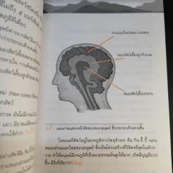 ความเป็นมนุษย์กับการเข้าถึงสิ่งสูงสุด ความจริงความดีความงาม - ประเวศ วะสี รูปที่ 12