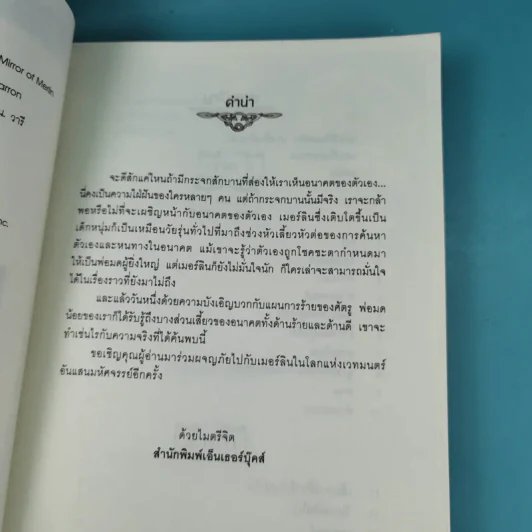 เมอร์ลินผู้วิเศษ เล่ม 1-4 - T.A. Barron รูปที่ 32