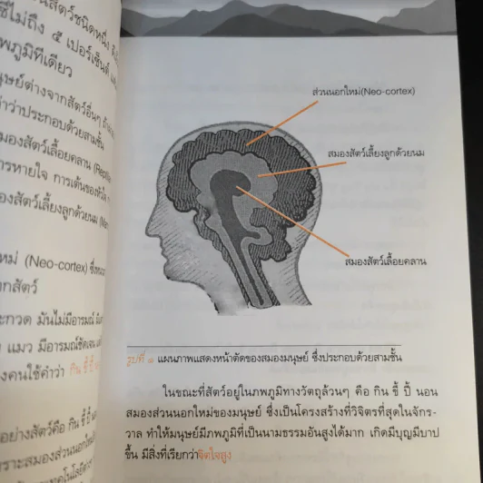 ความเป็นมนุษย์กับการเข้าถึงสิ่งสูงสุด ความจริงความดีความงาม - ประเวศ วะสี รูปที่ 12
