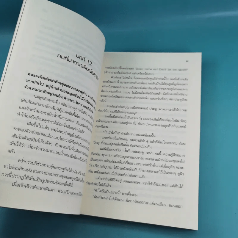 บันทึกจอมโจรแห่งสุสาน เล่ม 9 ตอน ปัจฉิมบทจอมโจรแห่งสุสาน (บทต้น) รูปที่ 10