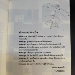 I'm a Pilot ผมคือนักบิน - Flamingo รูปที่ 11