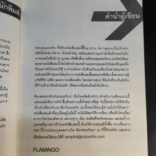 I'm a Pilot ผมคือนักบิน - Flamingo รูปที่ 10