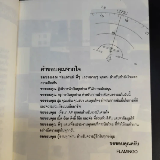 I'm a Pilot ผมคือนักบิน - Flamingo รูปที่ 11