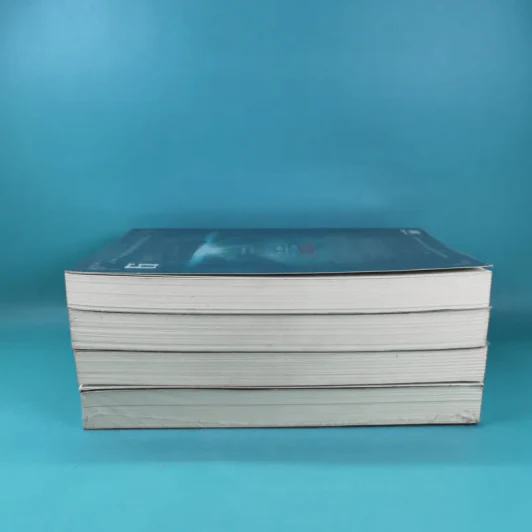 บันทึกจอมโจรแห่งสุสาน เล่ม 1,7,8,9 รูปที่ 4