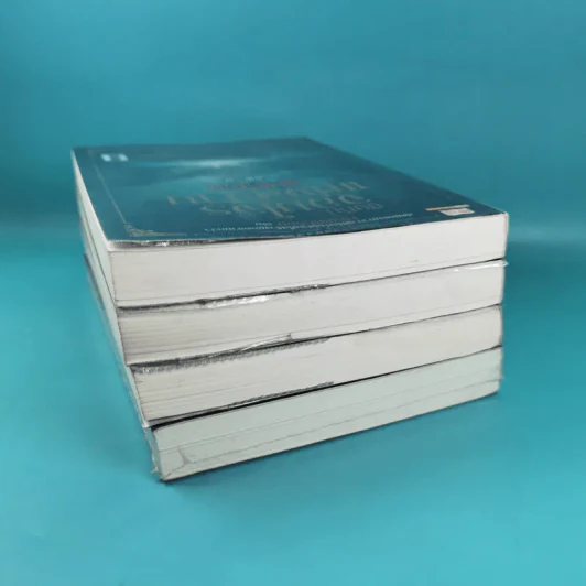 บันทึกจอมโจรแห่งสุสาน เล่ม 1,7,8,9 รูปที่ 5