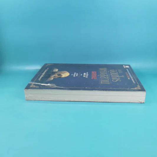 บันทึกจอมโจรแห่งสุสาน เล่ม 1,7,8,9 รูปที่ 9