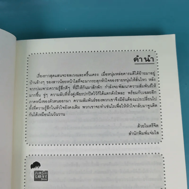 ความรู้สึกดีที่เรียกว่ารัก ชุดพิเศษ รักต่างวัยหัวใจข้ามรั้ว - ตัว Z & may 112 รูปที่ 9