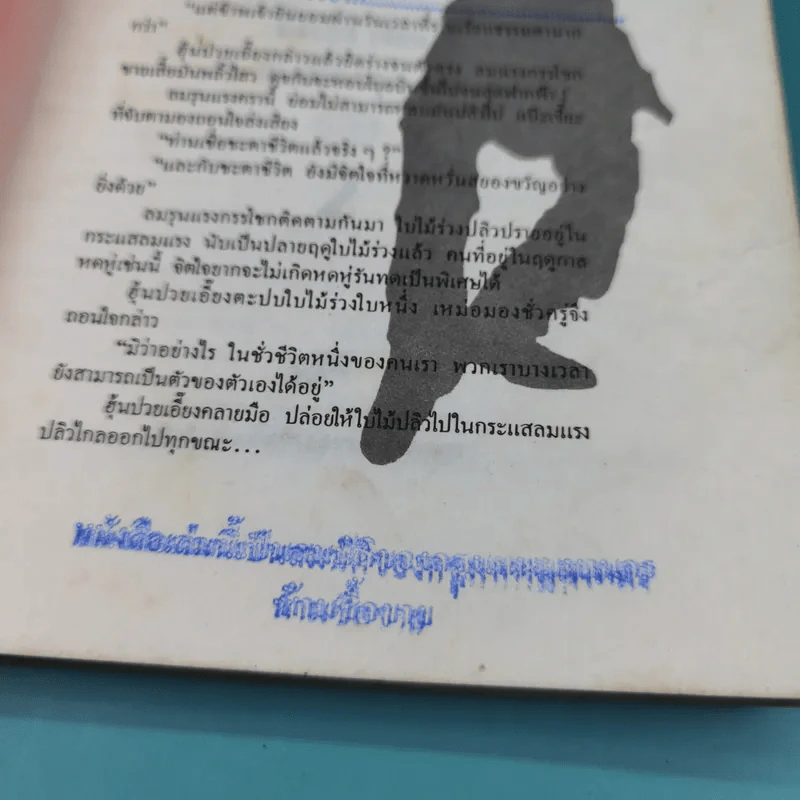 ไหมฟ้าปาฏิหาริย์ เล่ม 2 - ว.ณ เมืองลุง รูปที่ 8
