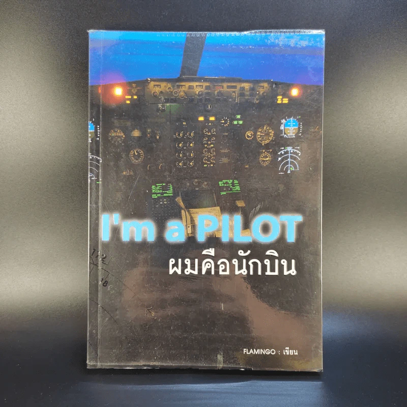 I'm a Pilot ผมคือนักบิน - Flamingo รูปที่ 1