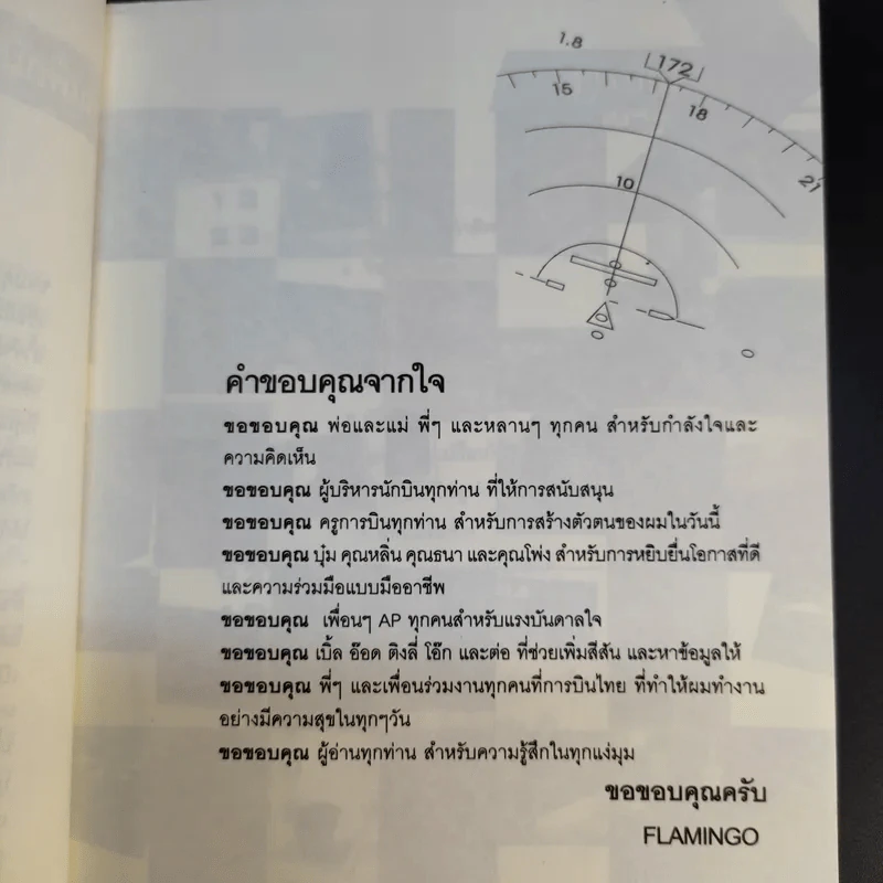 I'm a Pilot ผมคือนักบิน - Flamingo รูปที่ 11