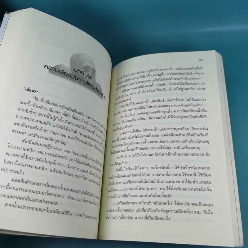 บันทึกจอมโจรแห่งสุสาน เล่ม 1,7,8,9 รูปที่ 21