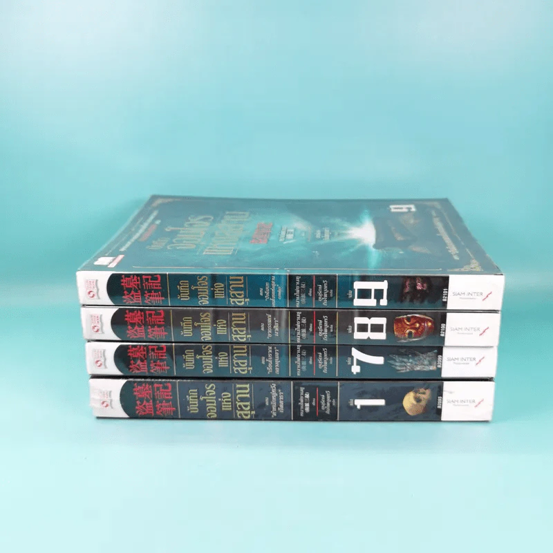 บันทึกจอมโจรแห่งสุสาน เล่ม 1,7,8,9 รูปที่ 2