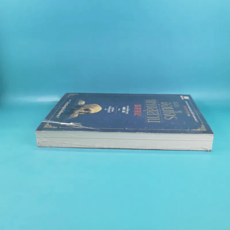 บันทึกจอมโจรแห่งสุสาน เล่ม 1,7,8,9 รูปที่ 9