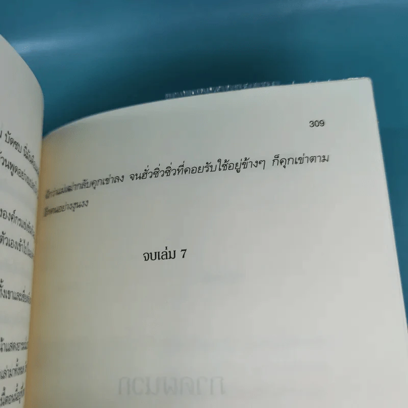 บันทึกจอมโจรแห่งสุสาน เล่ม 1,7,8,9 รูปที่ 16