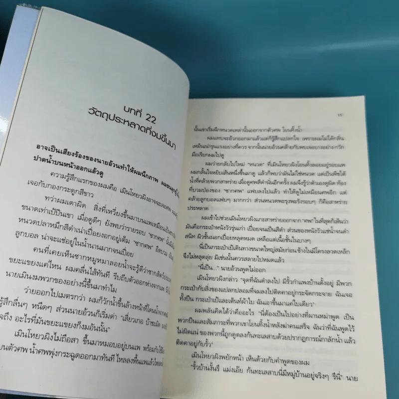 บันทึกจอมโจรแห่งสุสาน เล่ม 1,7,8,9 รูปที่ 14