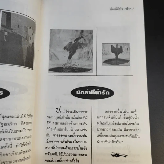 หมายเหตุชุดเรื่องนี้มีจริง จริง - ศิวพรไพลิน อมรมนตรีกุล รูปที่ 12