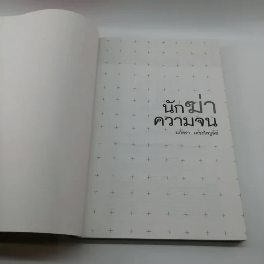 นักฆ่าความจน - ปภัสรา เตชะไพบูลย์ รูปที่ 6
