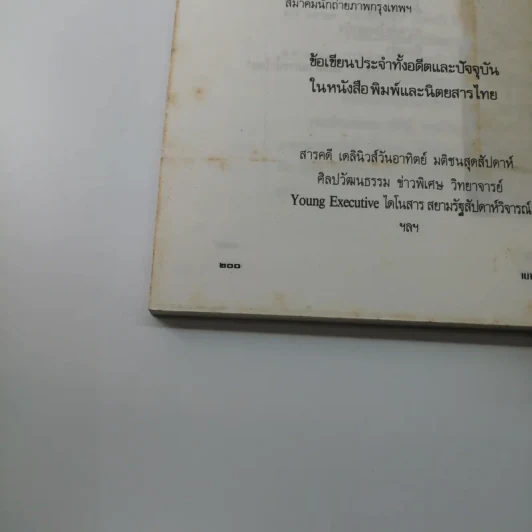 เหยียบแผ่นดินหยก ย้อนเกล็ดมังกรยักษ์บนจีนแผ่นดินใหญ่ - เนาวรัตน์ พงษ์ไพบูลย์ รูปที่ 14