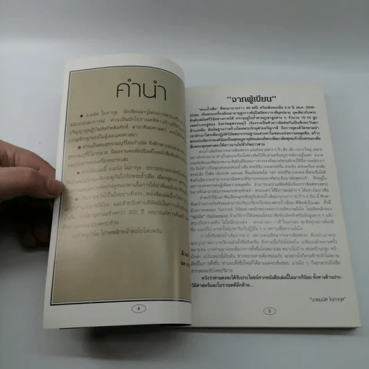 ศาสตร์และศิลป์ทางโบราณคดี พระถ้ำเสือ - มนัส โอภากุล รูปที่ 7