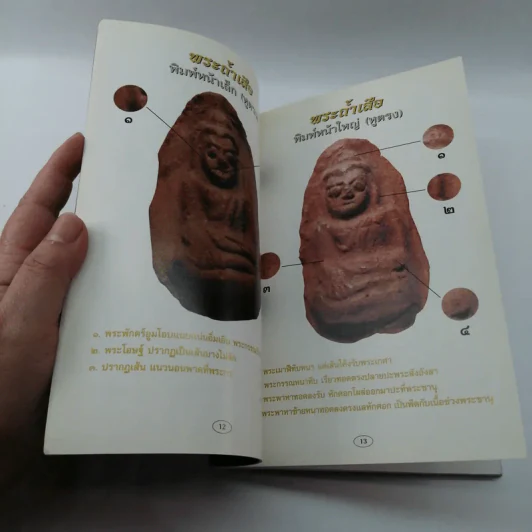 ศาสตร์และศิลป์ทางโบราณคดี พระถ้ำเสือ - มนัส โอภากุล รูปที่ 11