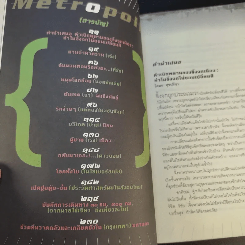 Metropolis เมืองใหญ่ในวงเล็บ - วุฒิชัย กฤษณะประกรกิจ รูปที่ 11