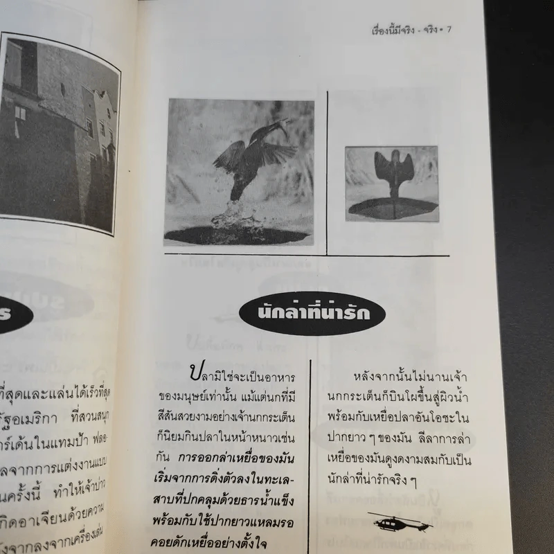 หมายเหตุชุดเรื่องนี้มีจริง จริง - ศิวพรไพลิน อมรมนตรีกุล รูปที่ 12
