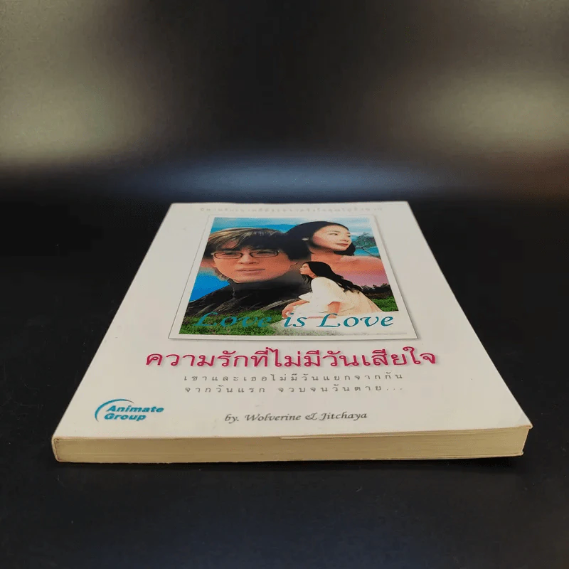 Love is Love ความรักที่ไม่มีวันเสียใจ รูปที่ 4