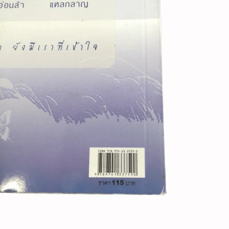 เมื่อคุณเศร้า ยังมีเราที่เข้าใจ รูปที่ 13
