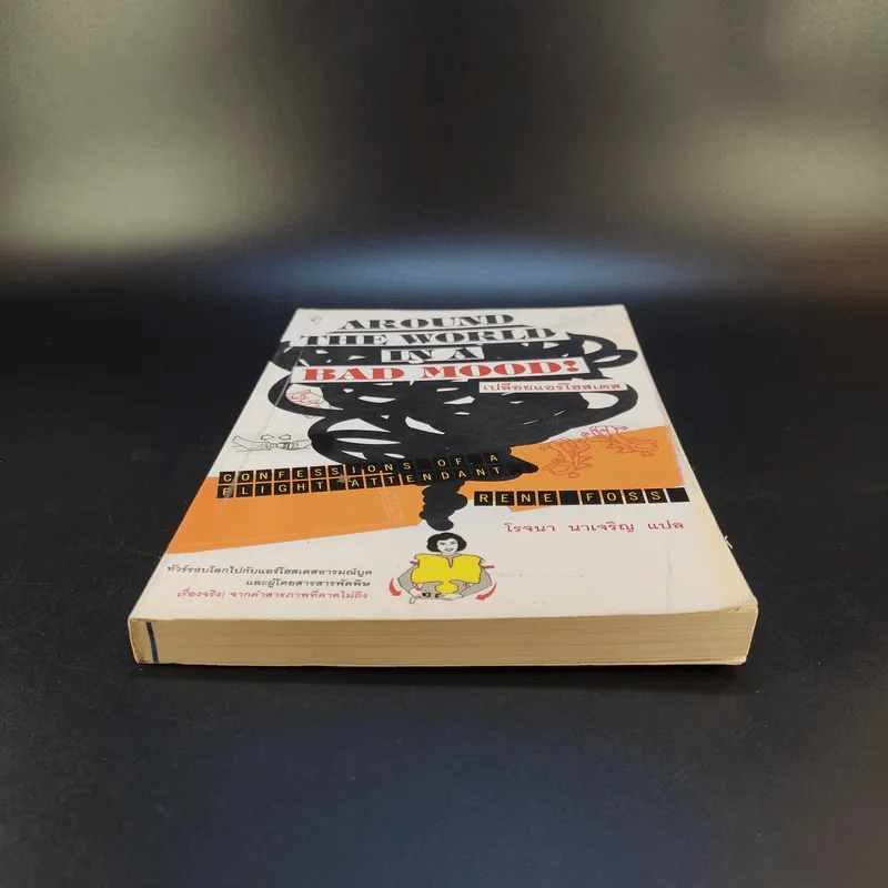 Around the World in a Bad Mood : เปลือยแอร์โฮสเคส - โรจนา นาเจริญ รูปที่ 4