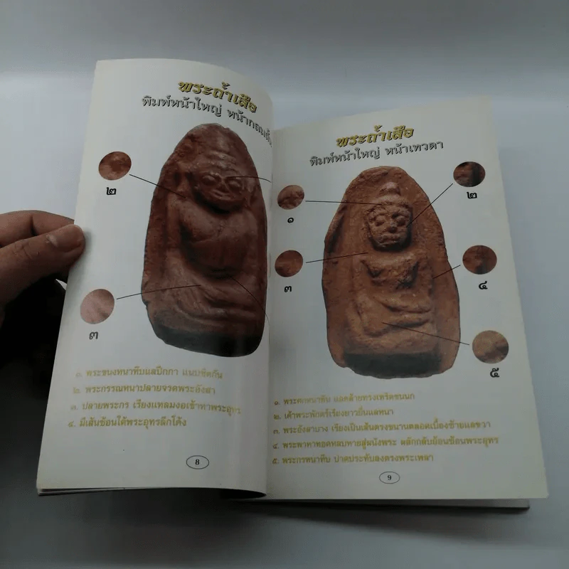 ศาสตร์และศิลป์ทางโบราณคดี พระถ้ำเสือ - มนัส โอภากุล รูปที่ 9