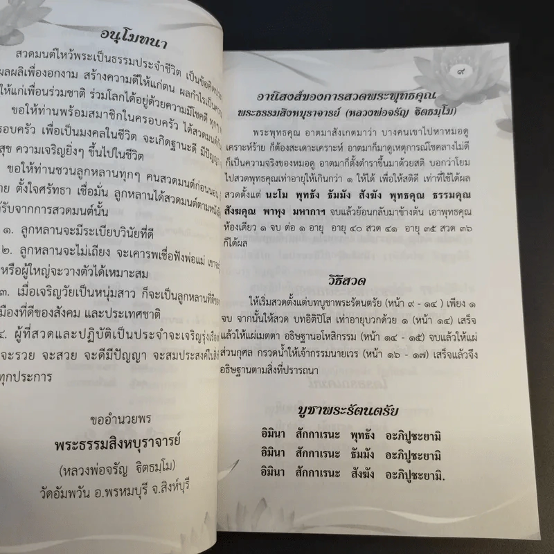 สวดมนต์อภิมหามงคลชีวิต พิชิตเคราะห์ แก้กรรมตามพุทธวิถี สุขภาพดีด้วยสมุนไพร รูปที่ 11