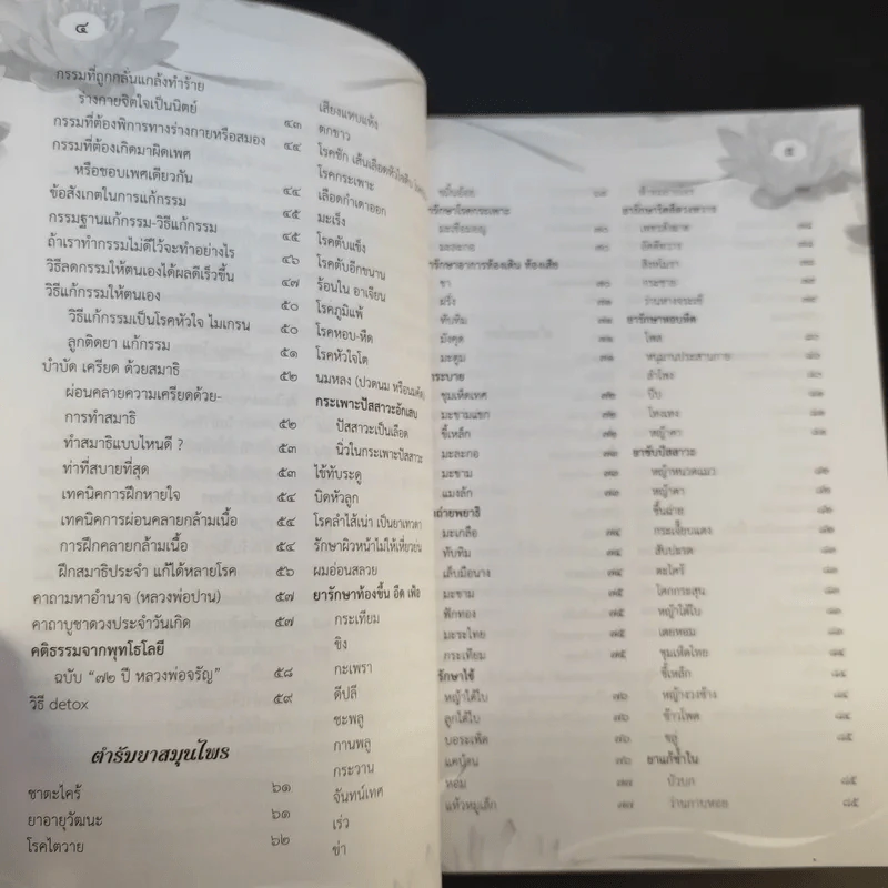 สวดมนต์อภิมหามงคลชีวิต พิชิตเคราะห์ แก้กรรมตามพุทธวิถี สุขภาพดีด้วยสมุนไพร รูปที่ 10
