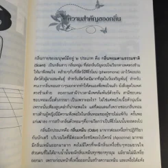 วิธีกำจัดกลิ่นตัว ตั้งแต่หัวจรดเท้า - ศศวรรณ มงคลภาพ รูปที่ 14