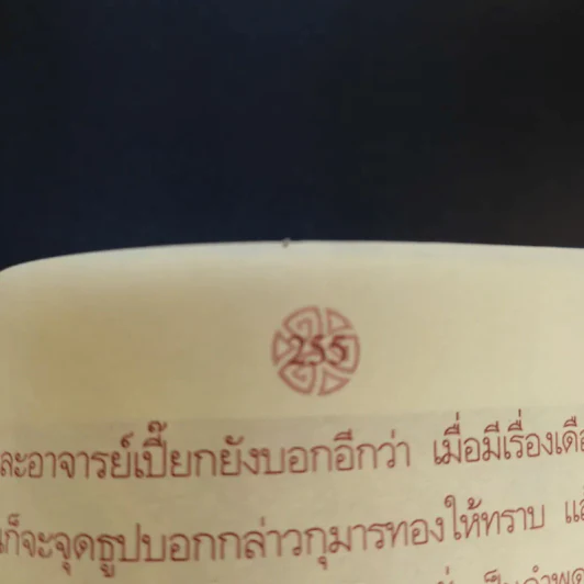 ตำนานเกจิดัง ของขลังพลังพุทธคุณ - ดามภ์ เสาเหม รูปที่ 11