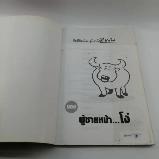 เรียกผมว่าผู้ชายหน้าโง่ รูปที่ 6