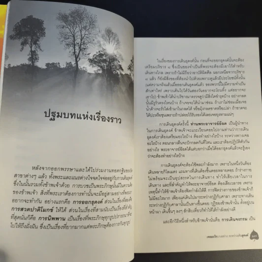 เจออะไรบางอย่างระหว่างเดินธุดงค์ - ภาณีพัฒน์ รูปที่ 16