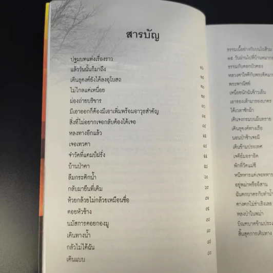 เจออะไรบางอย่างระหว่างเดินธุดงค์ - ภาณีพัฒน์ รูปที่ 14