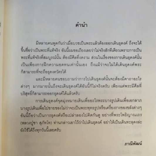 เจออะไรบางอย่างระหว่างเดินธุดงค์ - ภาณีพัฒน์ รูปที่ 13