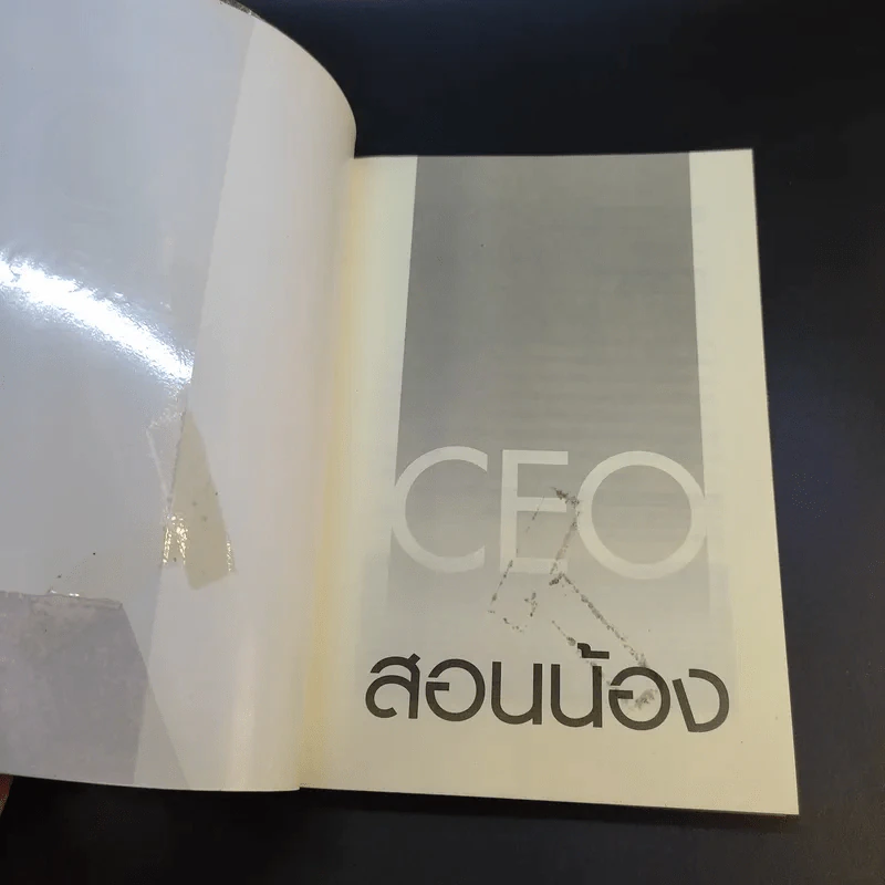 CEO สอนน้อง - ก่อศักดิ์ ไชยรัศมีศักดิ์ รูปที่ 8